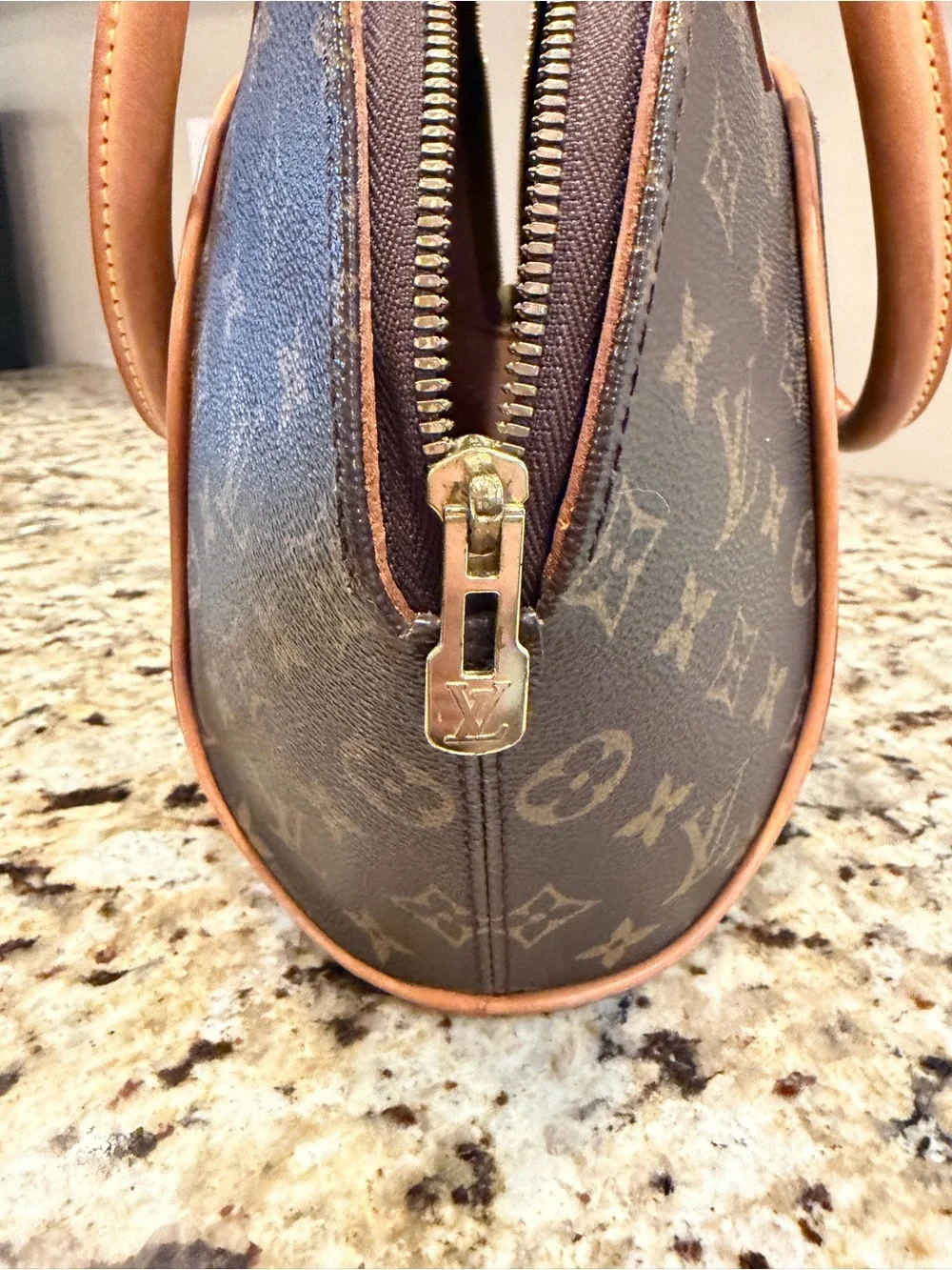 Louis Vuitton Monogram Canvas Ellipse